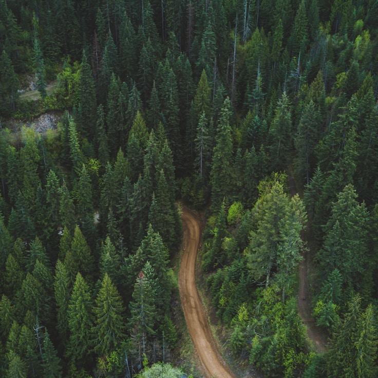 Nature travel hero image